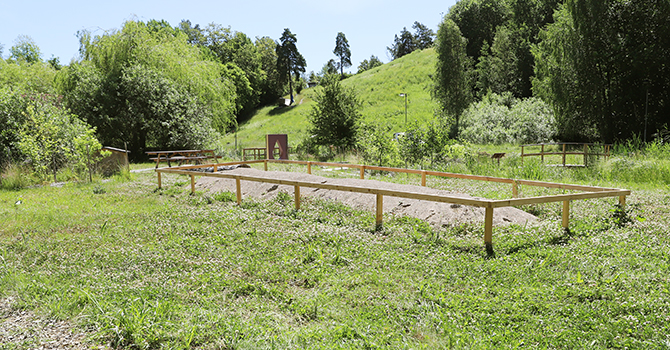 Sandbädd_Älvornas våtmark_juli 2025 (5) 670x350.jpg