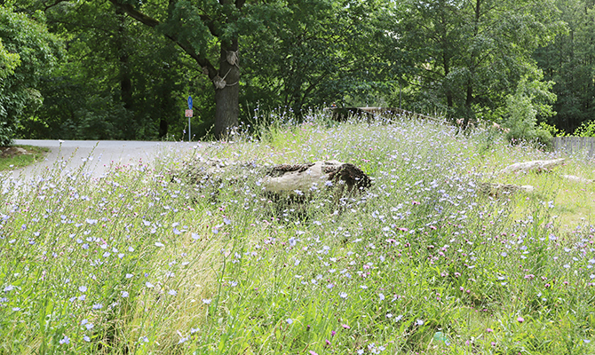 Sandbädd_Sickla_juli 2025 (60) 670x400.jpg