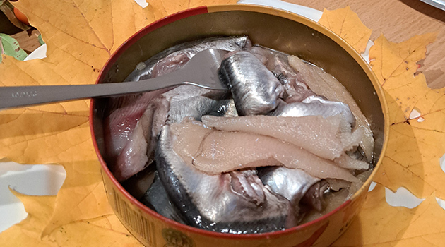 20241009 Surströmming3 630x350.jpg