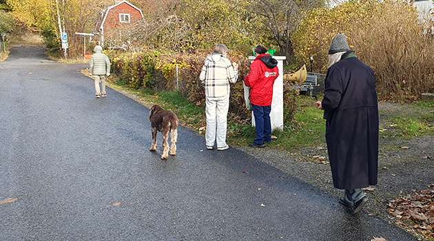 20241021 Promenad 1 630x350.jpg